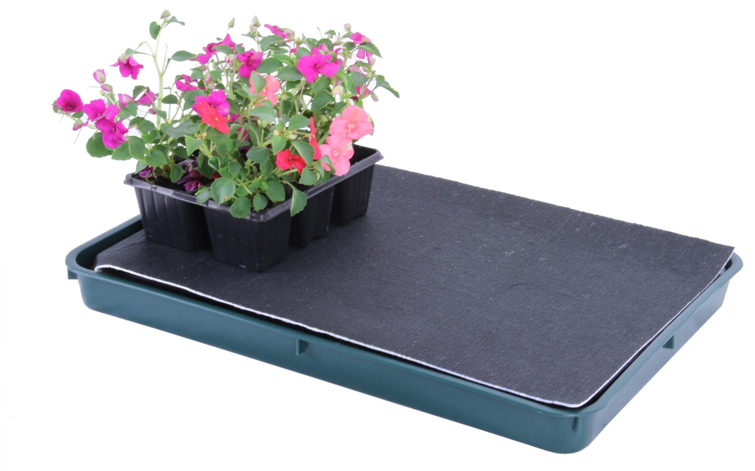 Trays