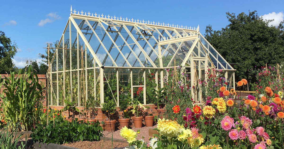 Robinsons Victorian greenhouse growing lots of flowers