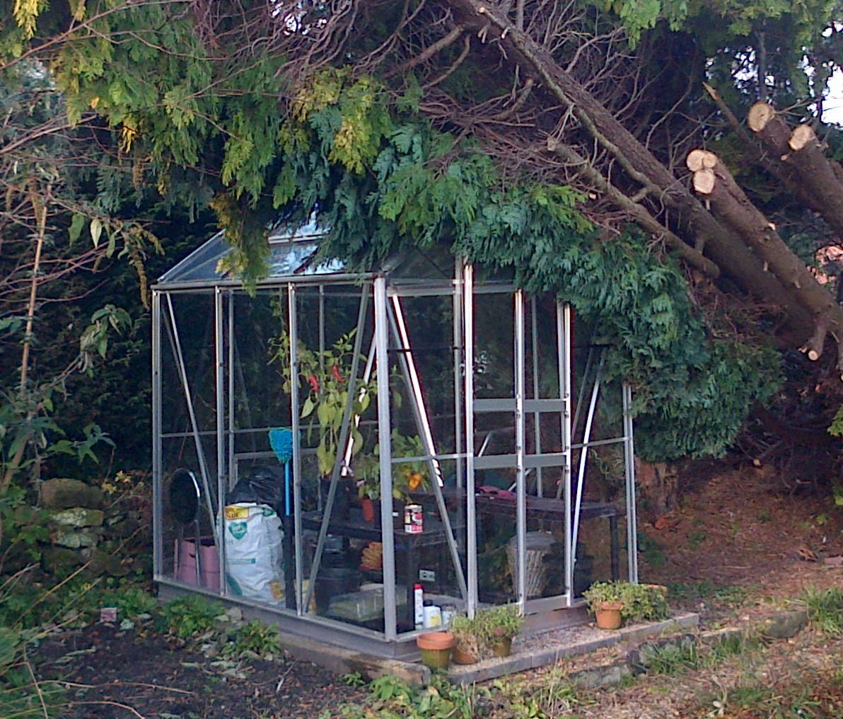 Greenhouse tree damage
