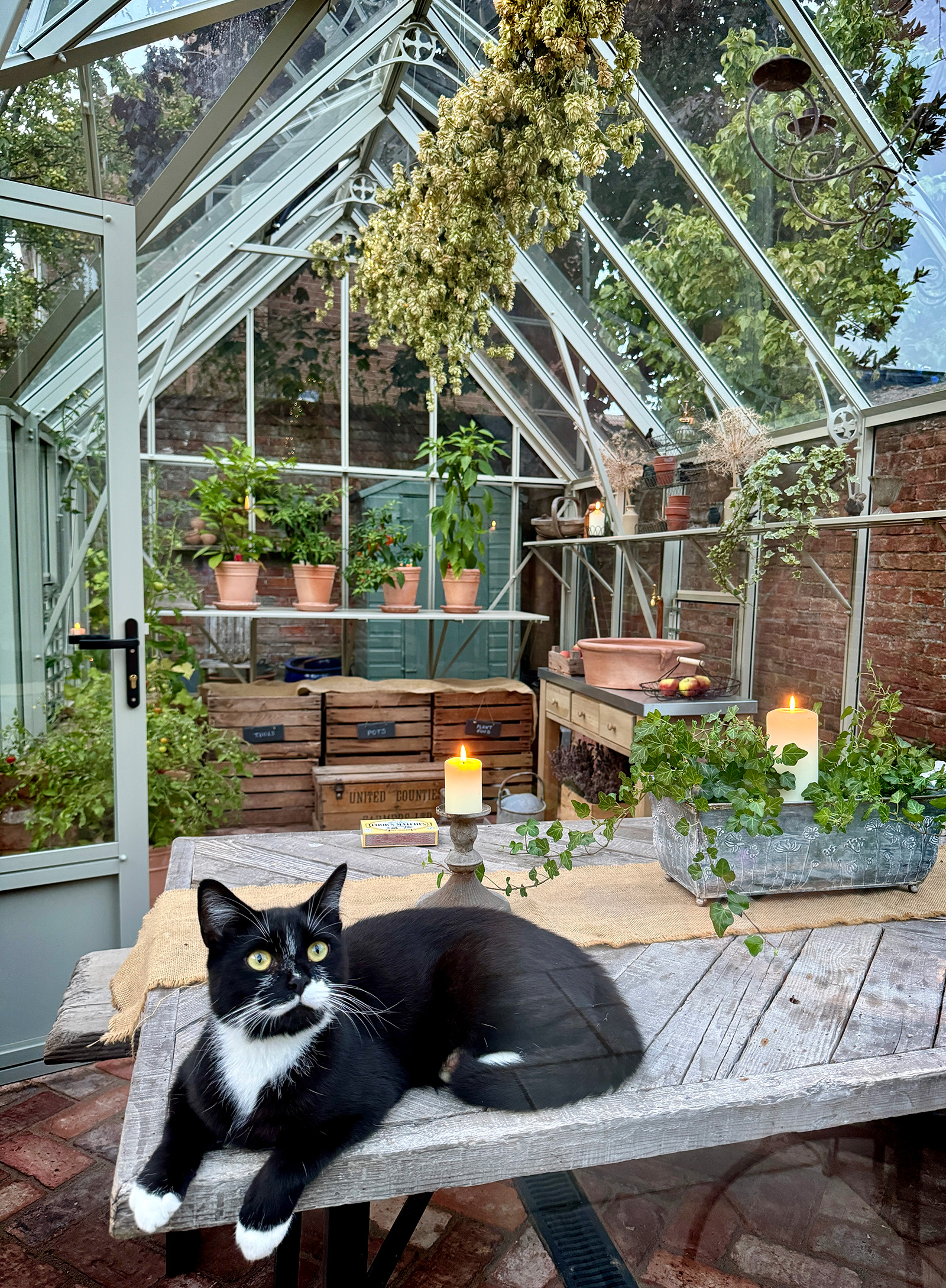 Katy's greenhouse interior with candlelit dining table
