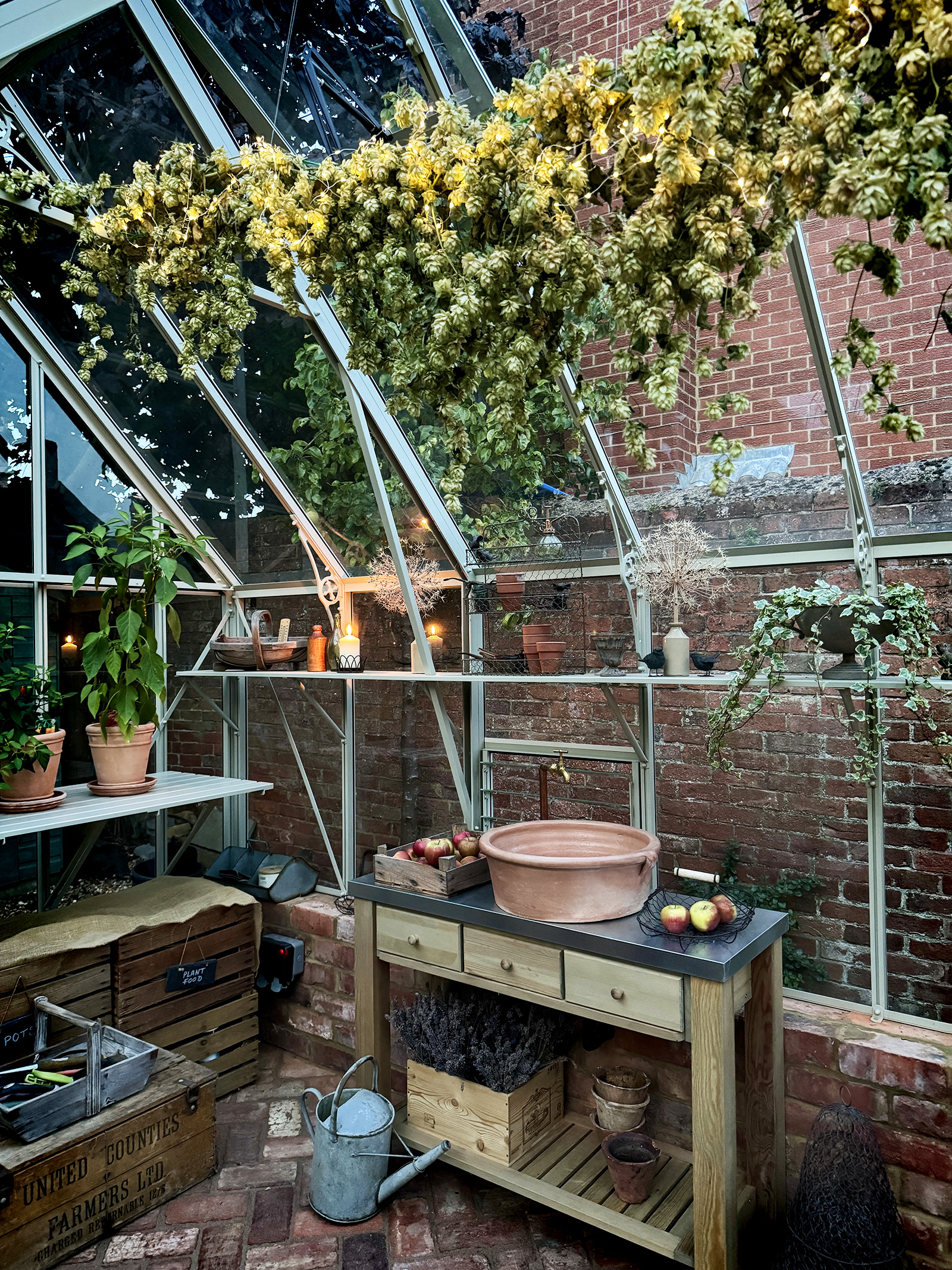 Evening soiree setup with string lights