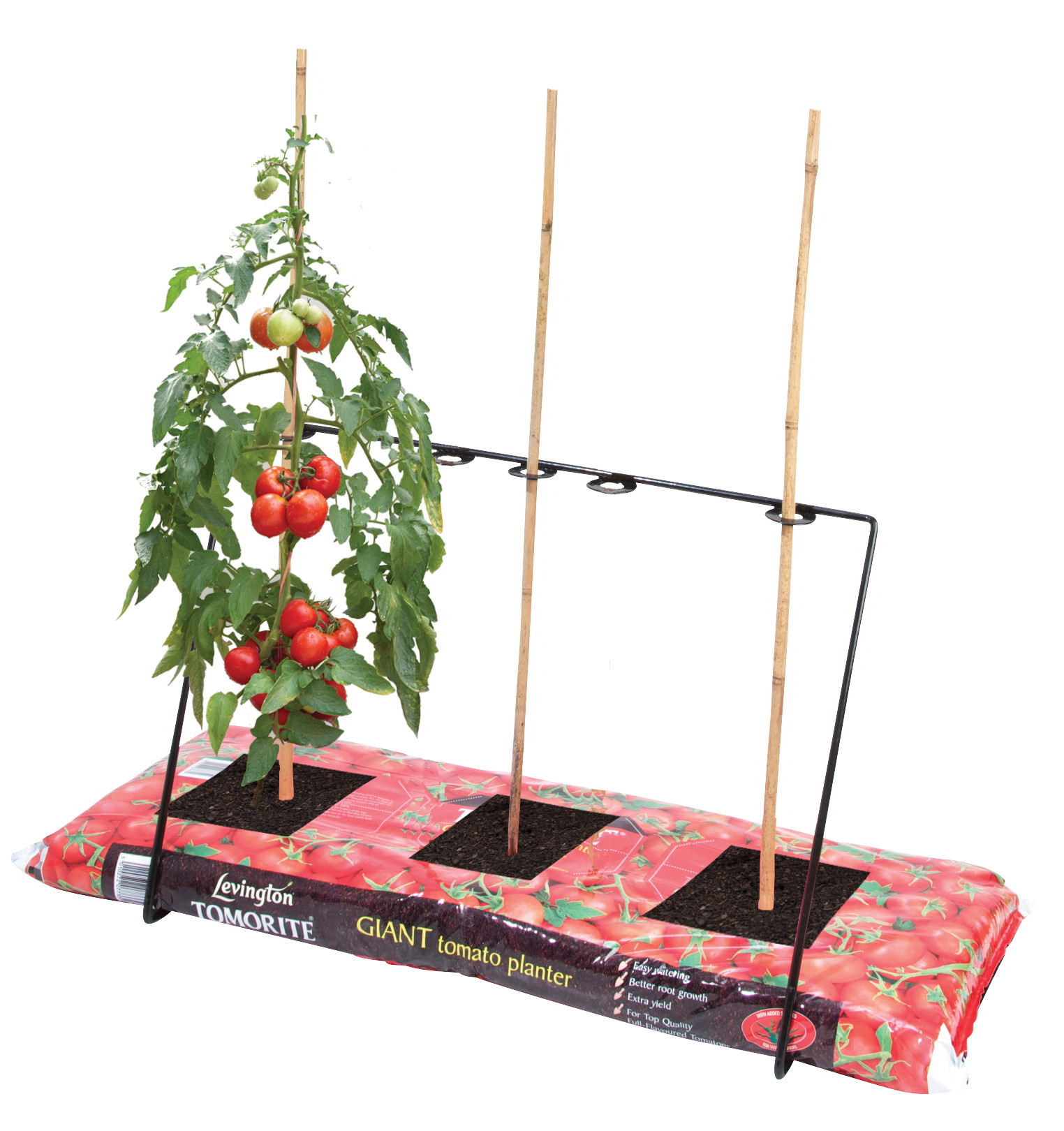 Grow Bag Frame