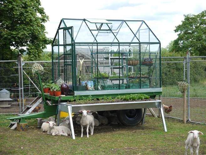Best selling Classic 6ft x 8ft Green Greenhouse Starter Package