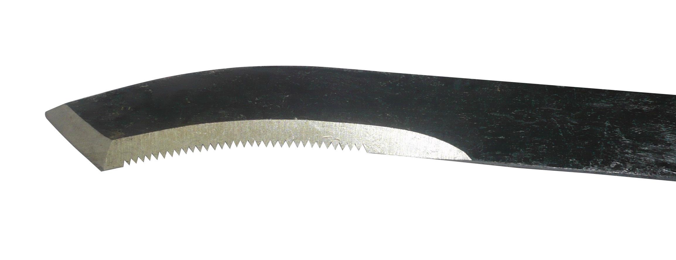 Asparagus harvester