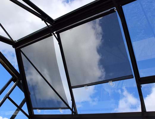 Eden roller blinds