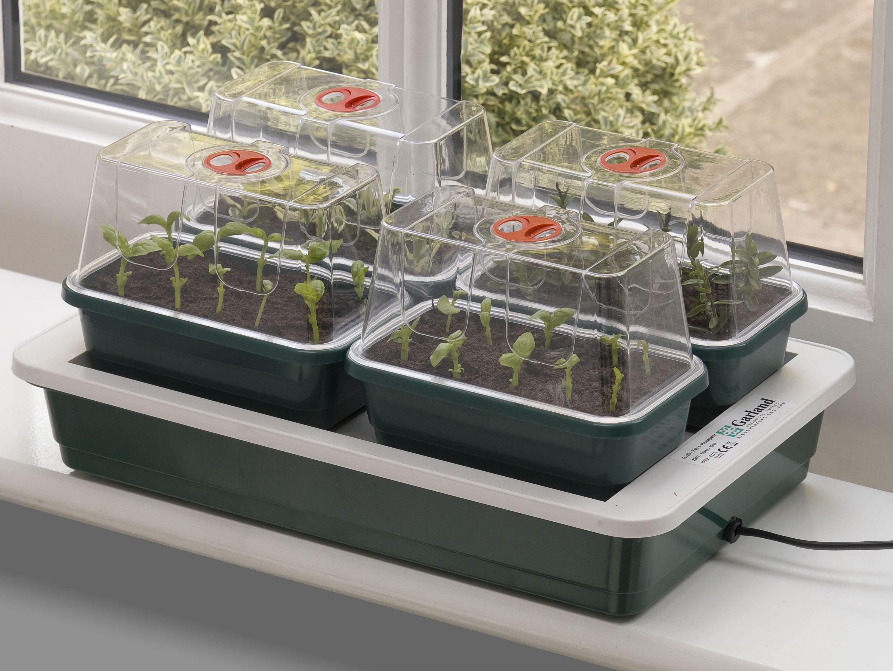 Fab 4  Propagator
