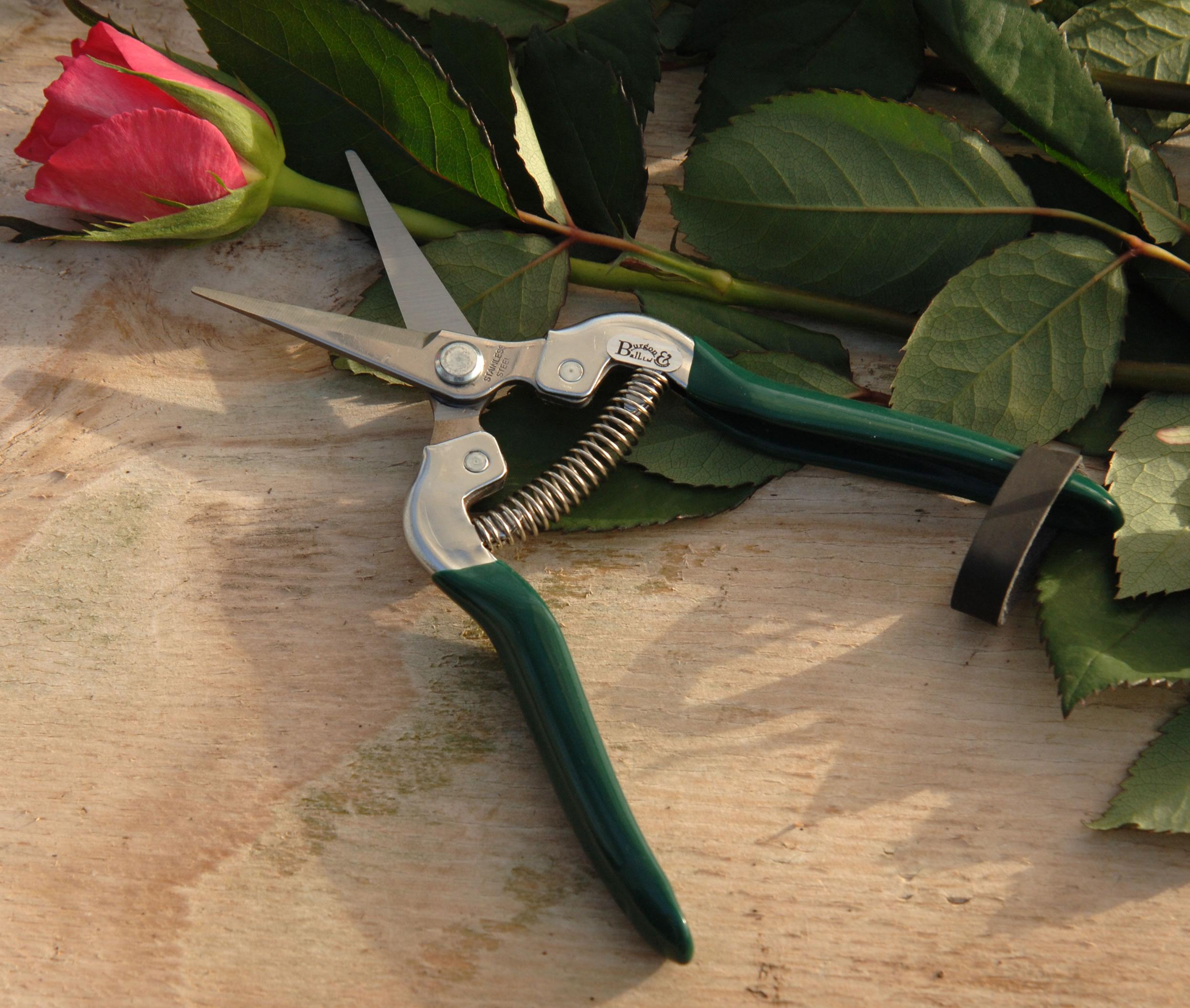 Fruit & Flower snip