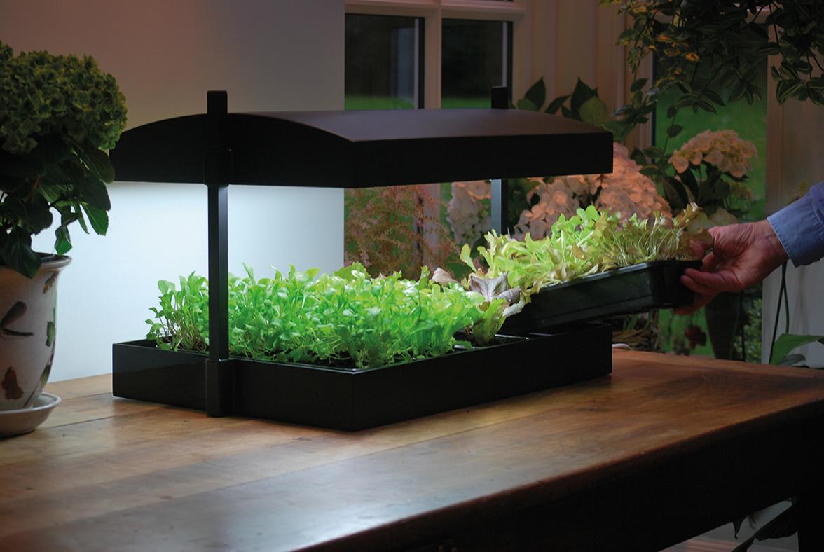 Grow light garden