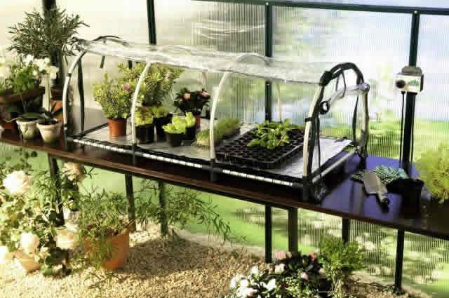 Jumbo Propagator