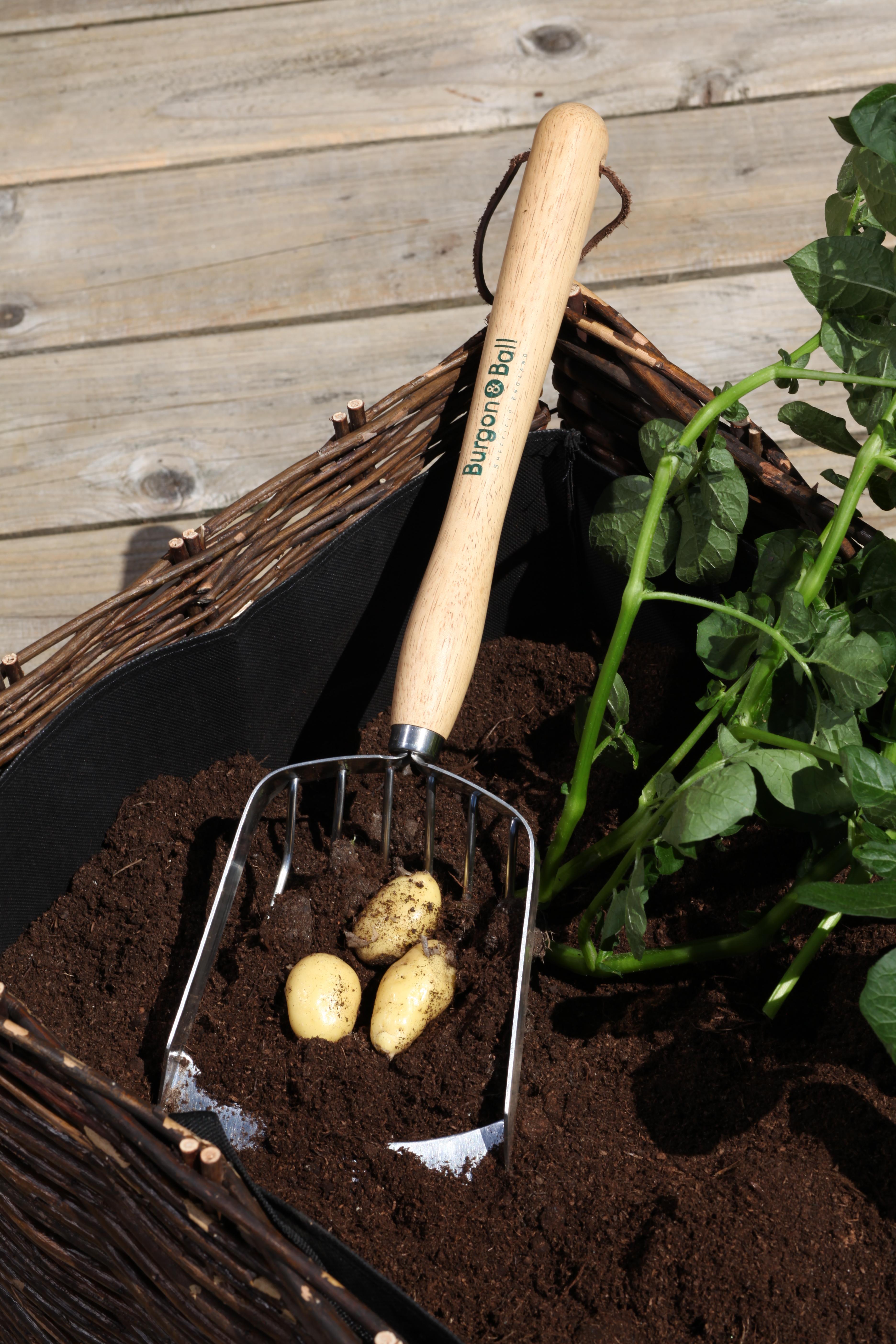 Mid-length handled potato scoop