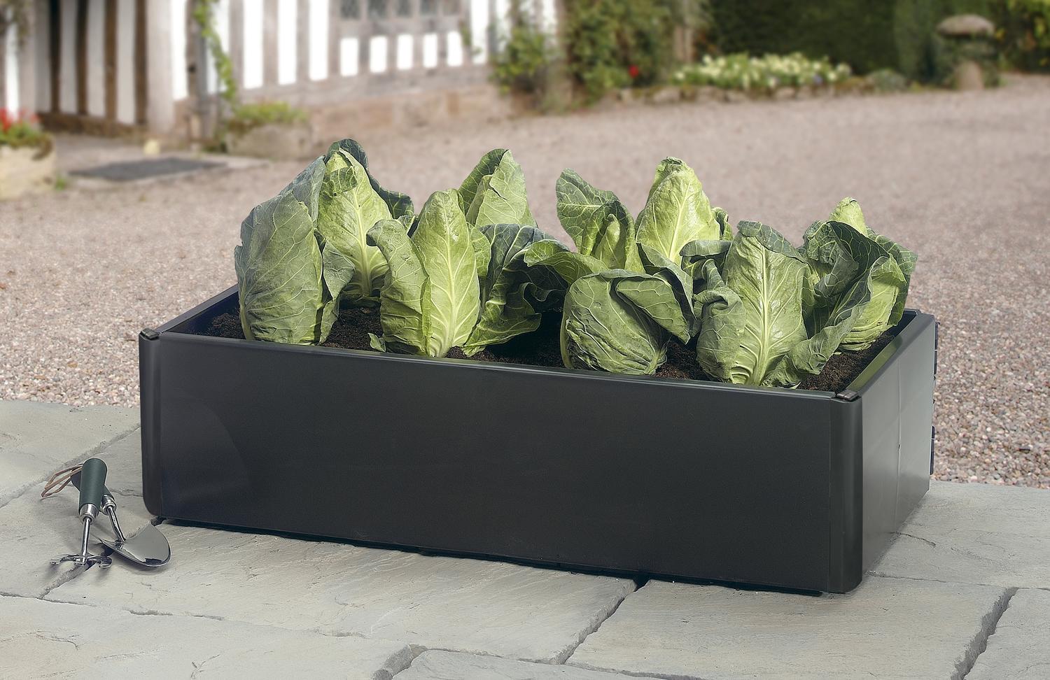 Mini Grow bed 3ft x 20" Pack of 2
