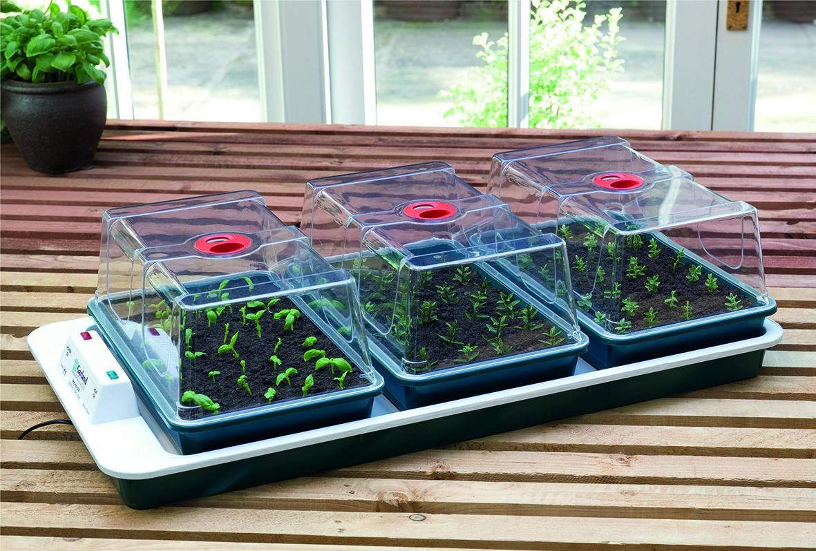 Big 3 Automatic Temperature Control Electric Propagator