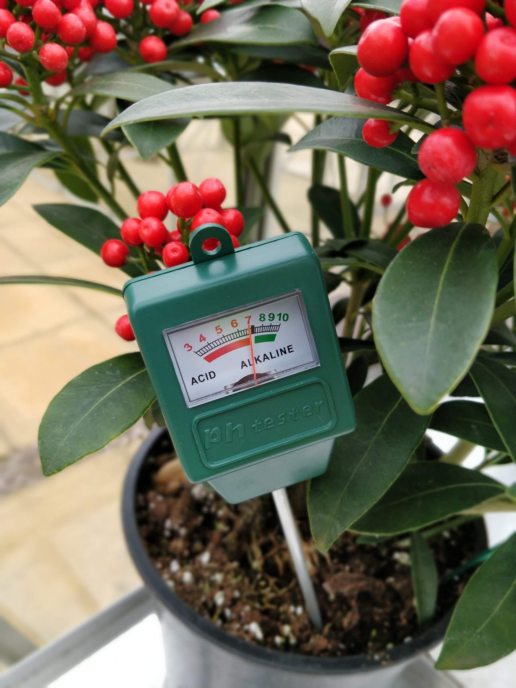 PH Meter