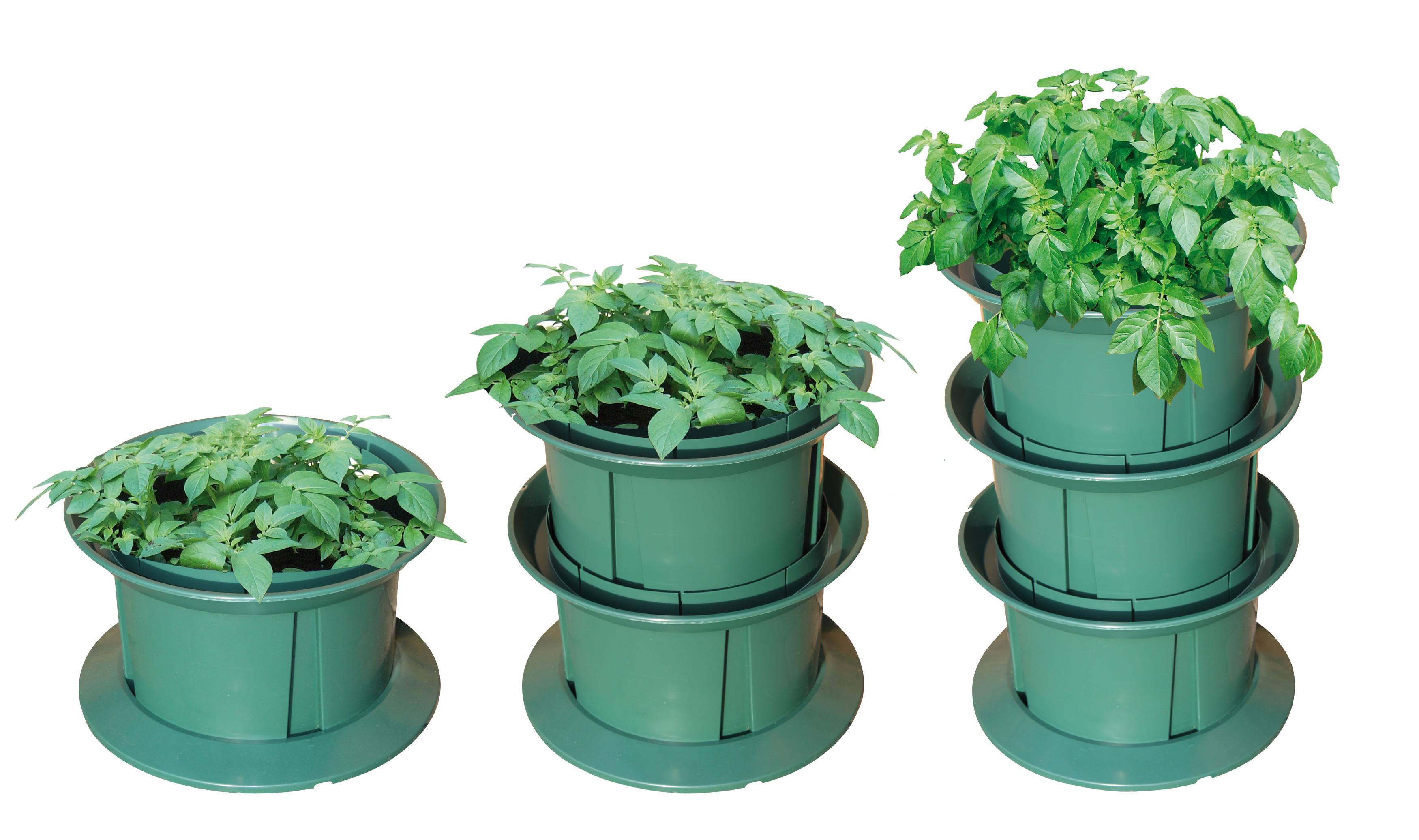Potato Grow pot