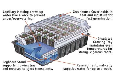 Self watering propagator 40 cell